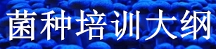 液體菌種培訓(xùn)大綱